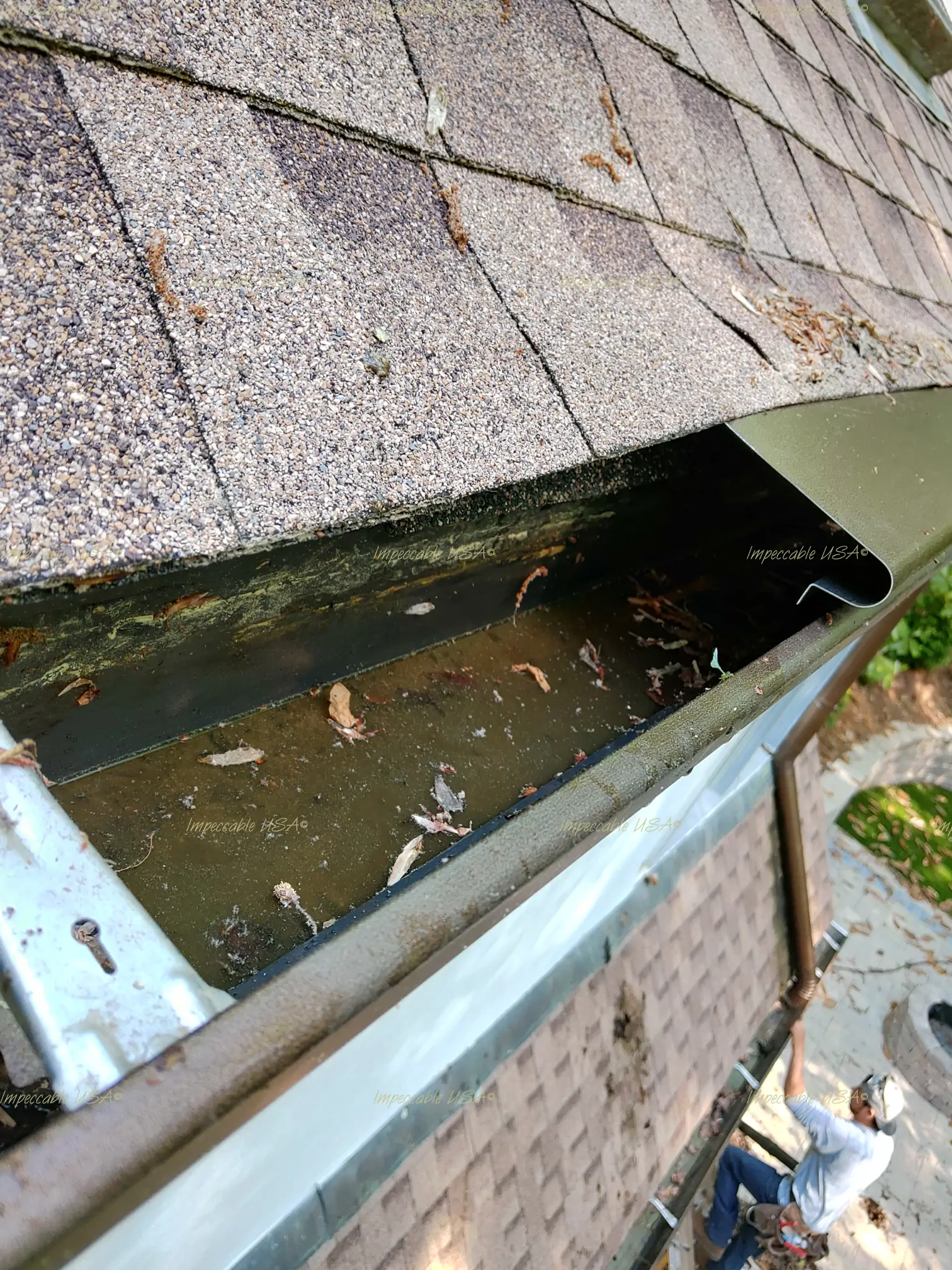 gutter